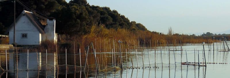 Billet Bus touristique Albufera + Balade en barque