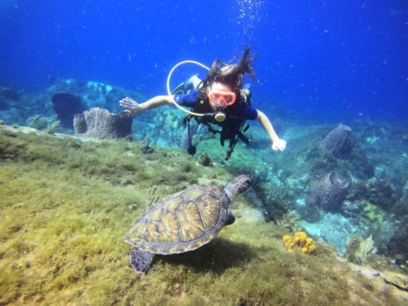 Billet Plongée sous-marine et catamaran aux Anses-d'Arlet (972)
