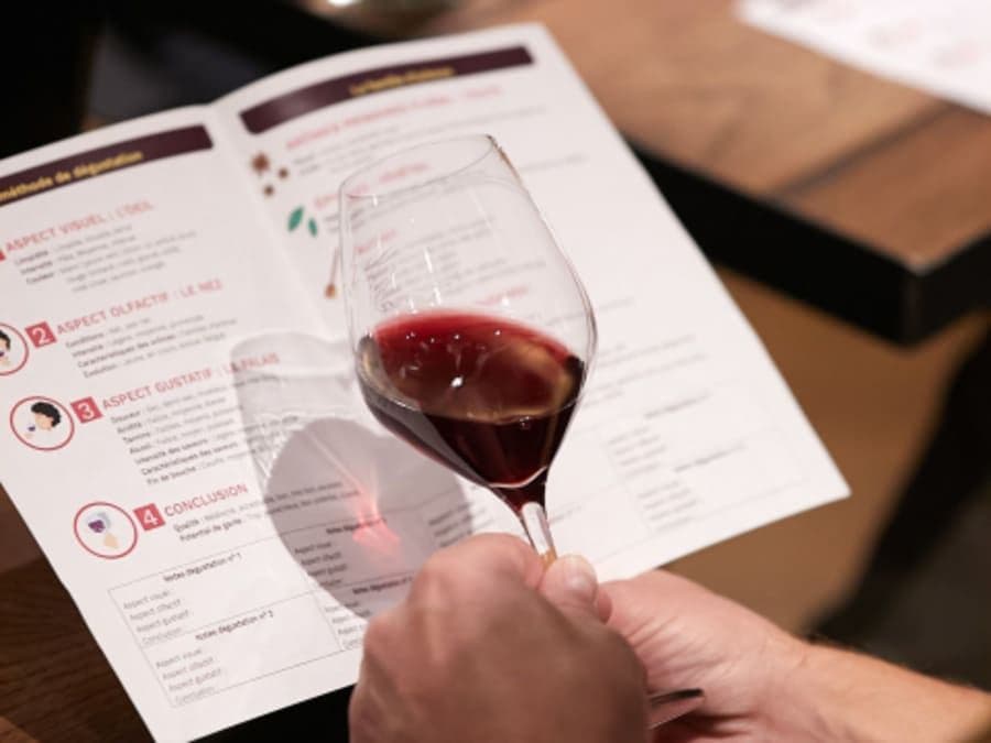 Oenologie, les clés de la dégustation niveau 1 à Biarritz (64)
