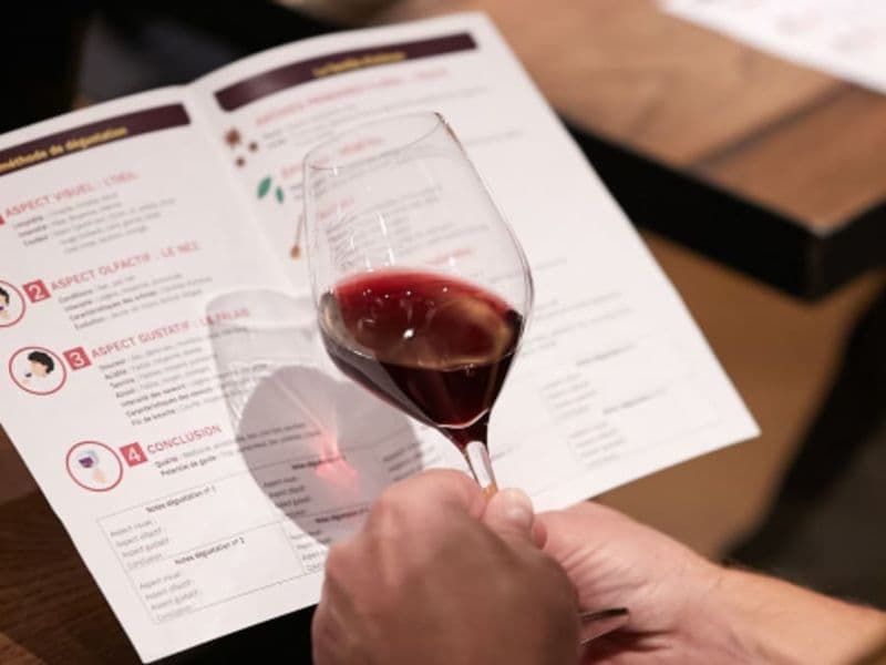 Billet Oenologie, les bases de la dégustation à Tours (37)