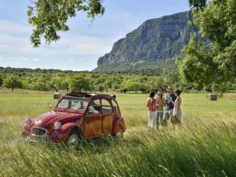 Billet Excursion en 2 CV dans les vignobles près de Montpellier (34)