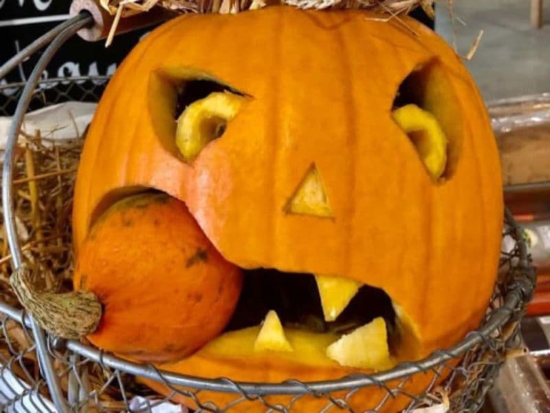 Billet Atelier citrouille à la Cueillette de la Croix Verte (95)