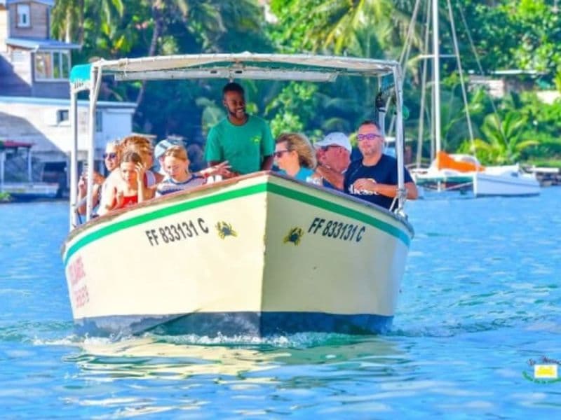 Billet Visite guidée de la Mangrove depuis Les Trois-Ilets