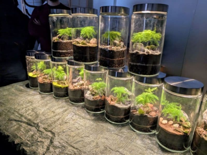 Billet Atelier Terrarium lumineux petit format à Paris 20ème