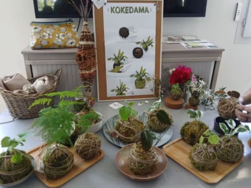 Billet Atelier création Kokedama à Tours (37)