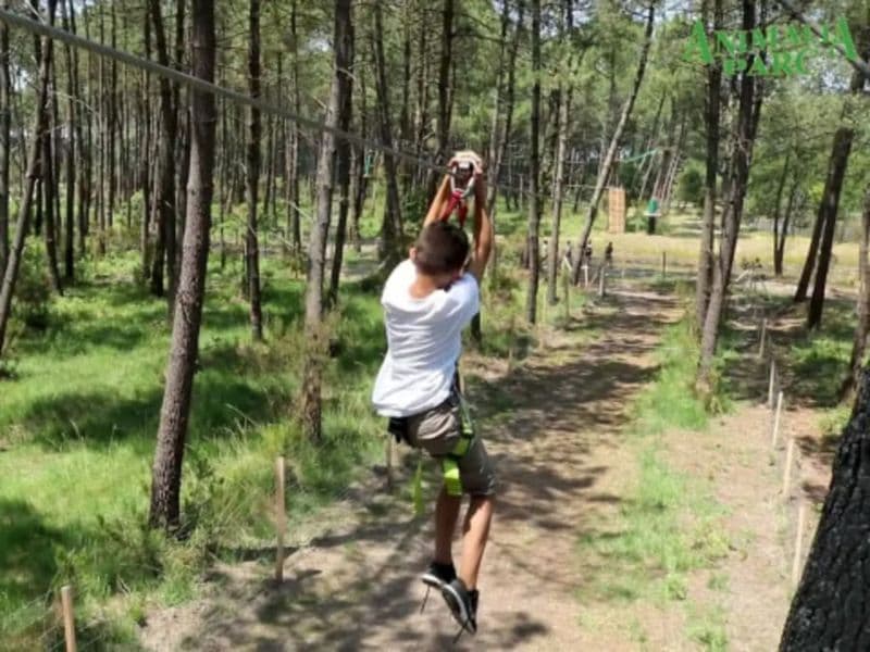 Billet Accrobranche à Animalia Parc à Naujac-sur-Mer (33)
