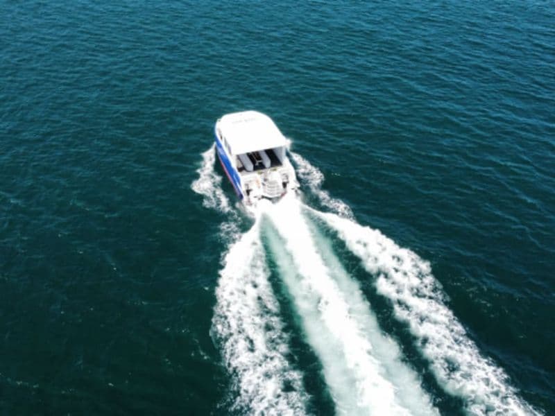 Promenade en mer découverte de la baie de Saint Malo (35)