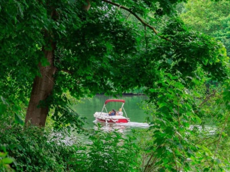 Location de bateau électrique (5 pers. max) à Bougival