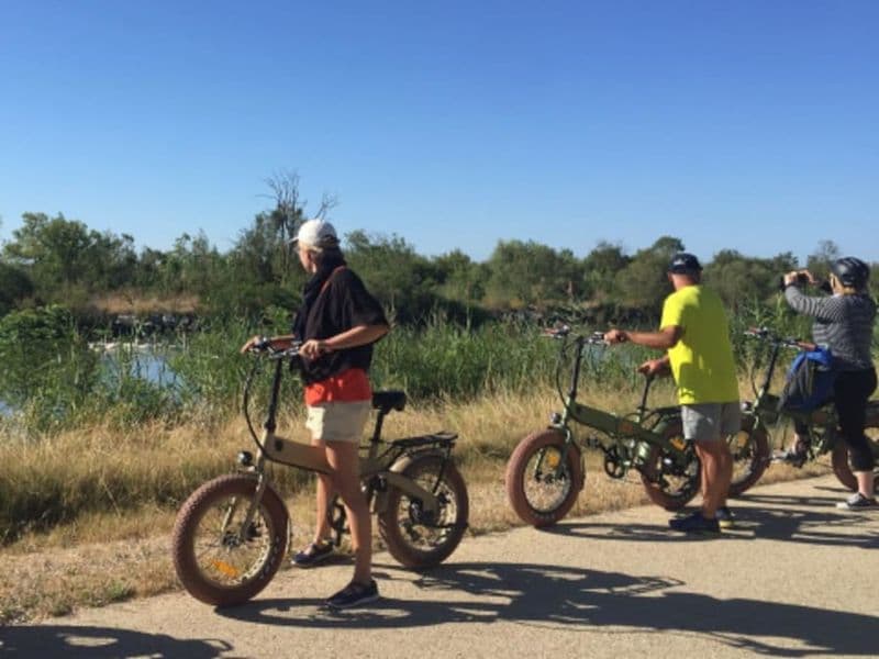Safari commenté à VTT électrique depuis Aigues-Mortes (30)