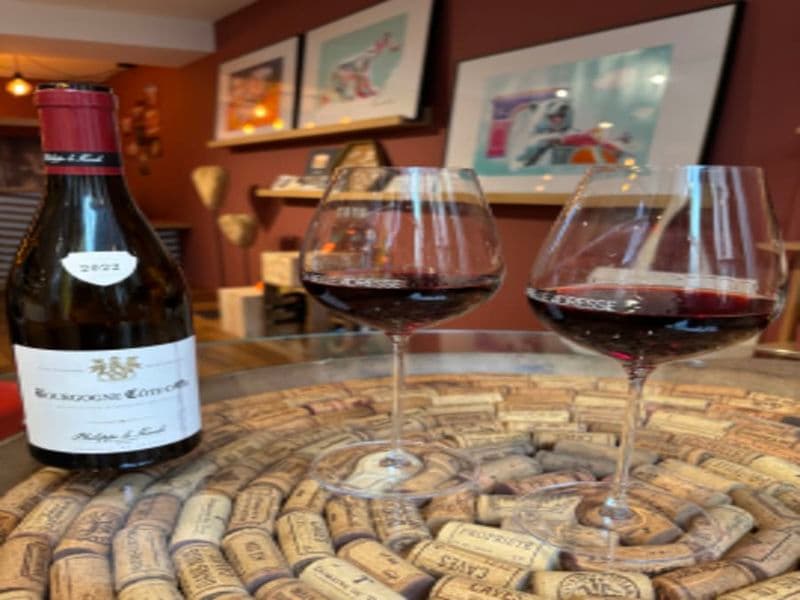 Billet Atelier dégustation de vins à Dijon (21)