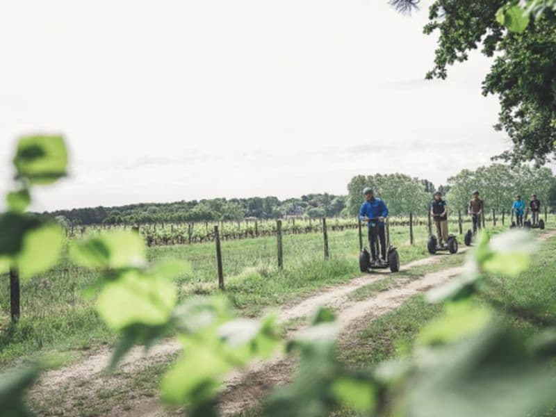 Balade Segway entre le bois et les vignes à Léognan (33)