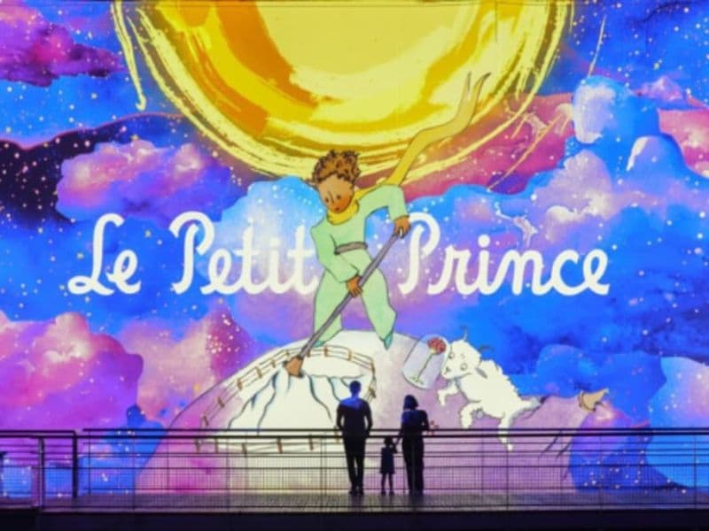 Billet Billet pour Les Carrières des Lumières : Le Petit Prince (13)