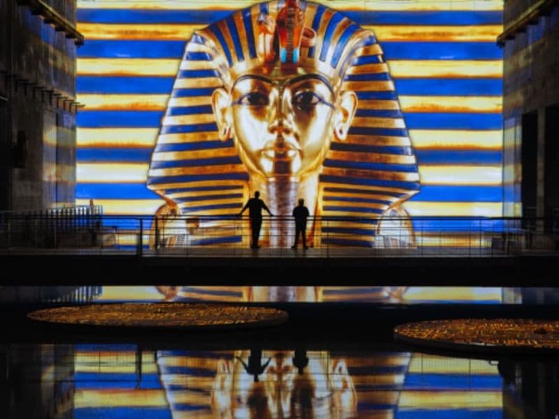 Billet pour les Bassins des Lumières à Bordeaux (33)