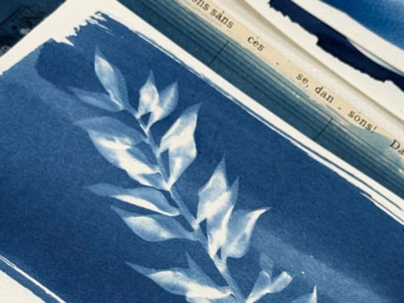 Billet Atelier Cyanotype  à Narbonne (11)
