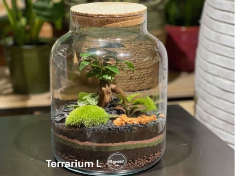 Billet Atelier terrarium à Paris 11ème