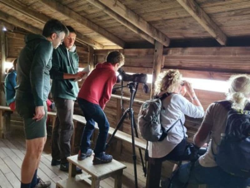 Billet Découverte de la réserve naturelle des Marais Vigueirat (13)