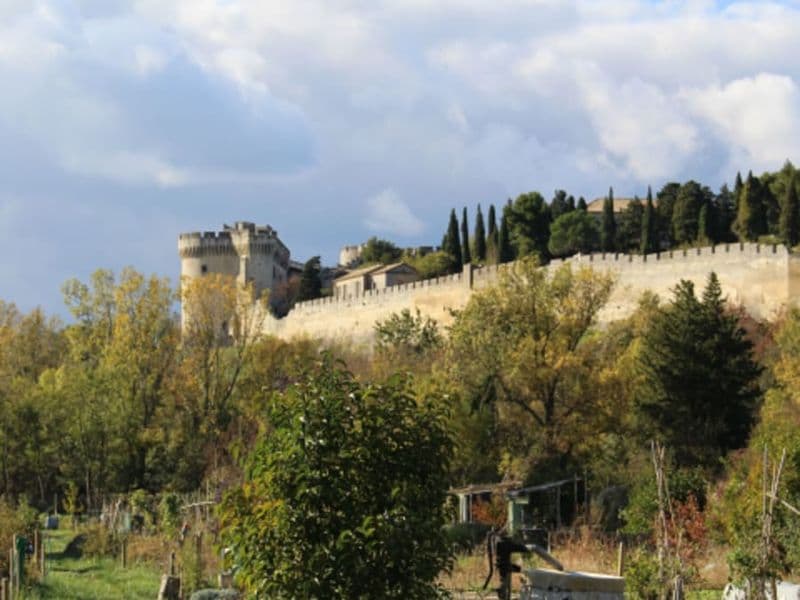 Billet Billet pour le Fort Saint-André à Villeneuve-lez-Avignon (30)