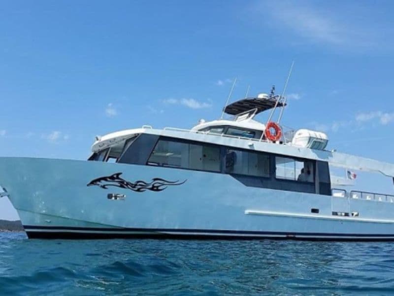 Croisière à la rencontre des dauphins et cétacés à Monaco (98)