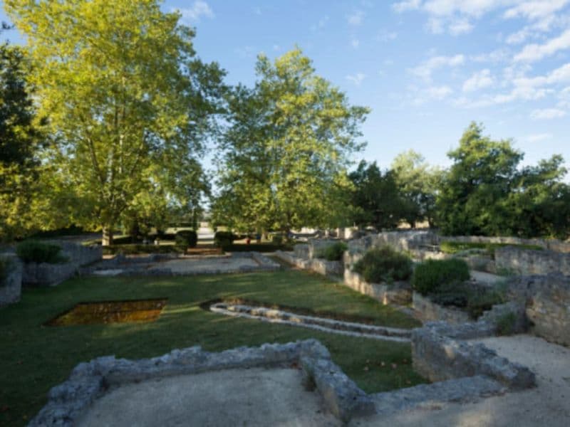 Billet Sites et musée archéologiques de Montmaurin (31)
