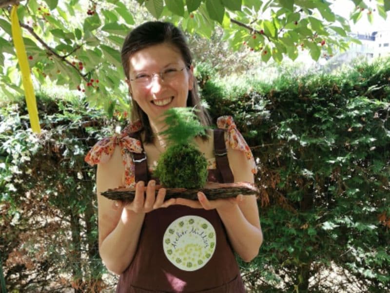 Billet Atelier kokedama à Toulouse (31)