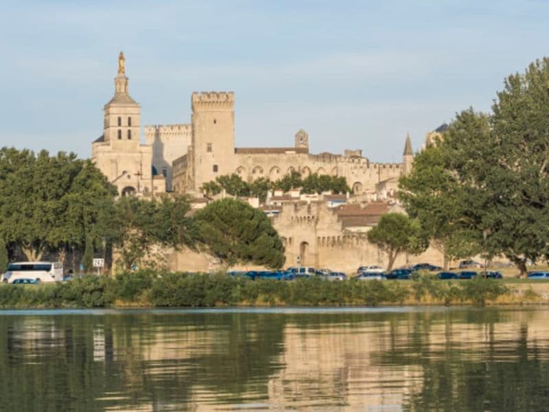 Billet Visite guidée d'Avignon et du Palais des Papes en anglais (84)
