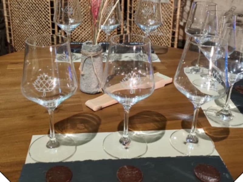 Billet Atelier accords Vins & Chocolat dans un Château à Denicé (69)