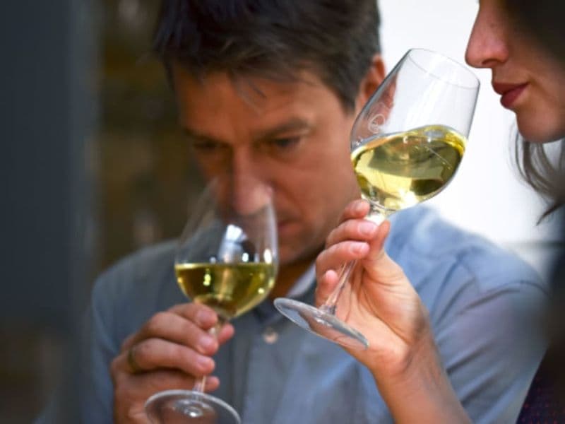 Billet Cours d'œnologie "Les arômes du vin" à Toulouse (31)