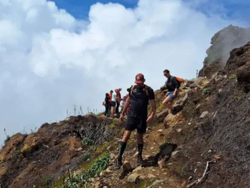 Randonnée avec un guide sur le volcan de la Soufrière (971)