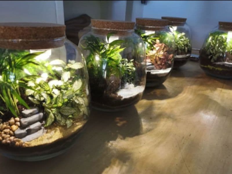 Billet Atelier Terrarium lumineux à Paris 20ème