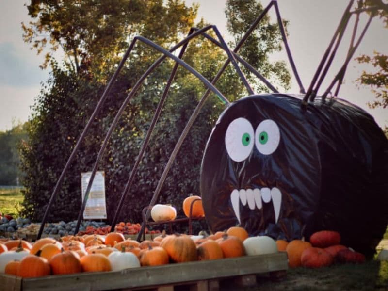 Billet Atelier citrouille d'Halloween à la cueillette de Muizon (51)