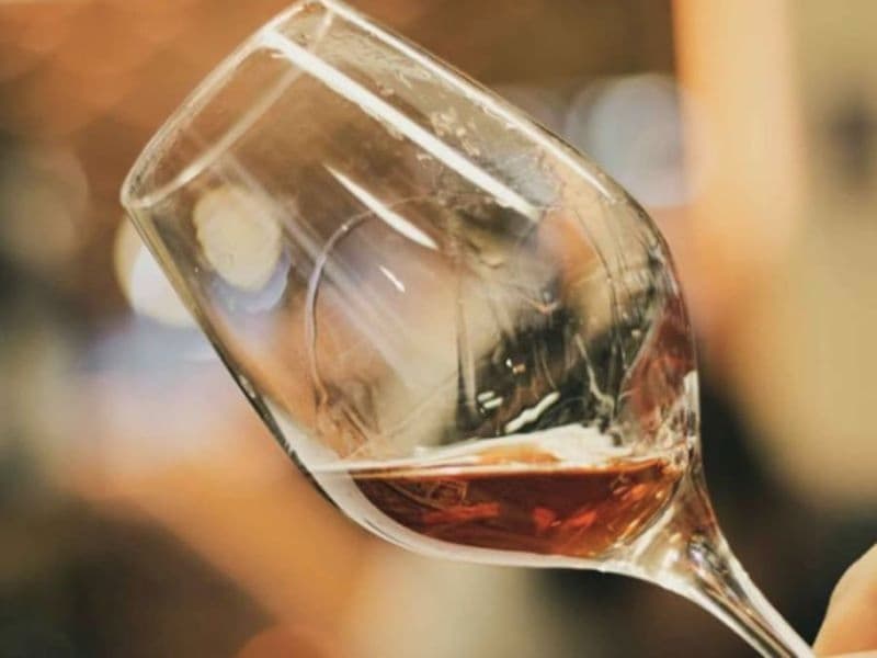 Oenologie, les bases de la dégustation à Brest (29)