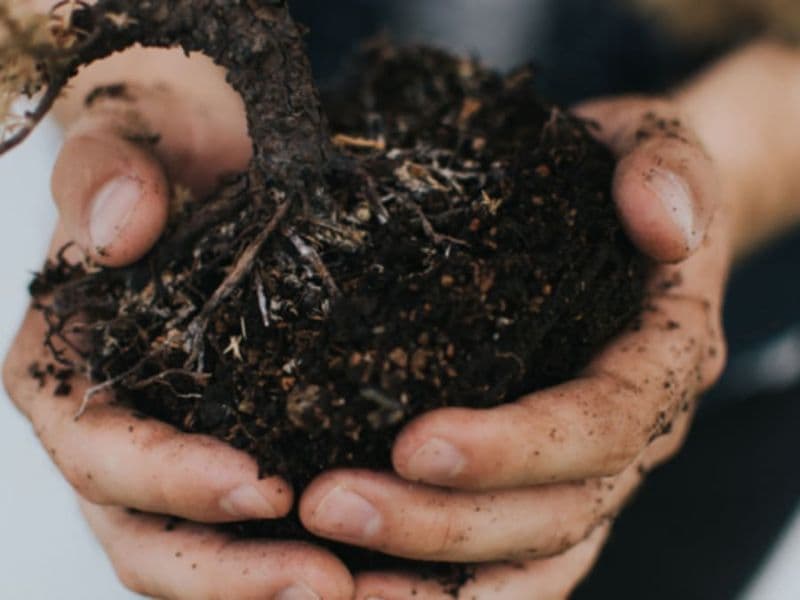 Billet Atelier Terrarium à Paris 15ème