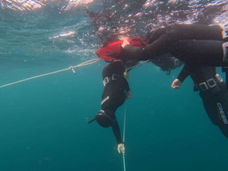 Initiation à la plongée en apnée sous-marine à Groix (56)
