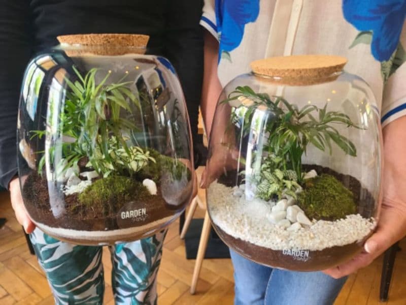 Billet Atelier Terrarium à Strasbourg (67)