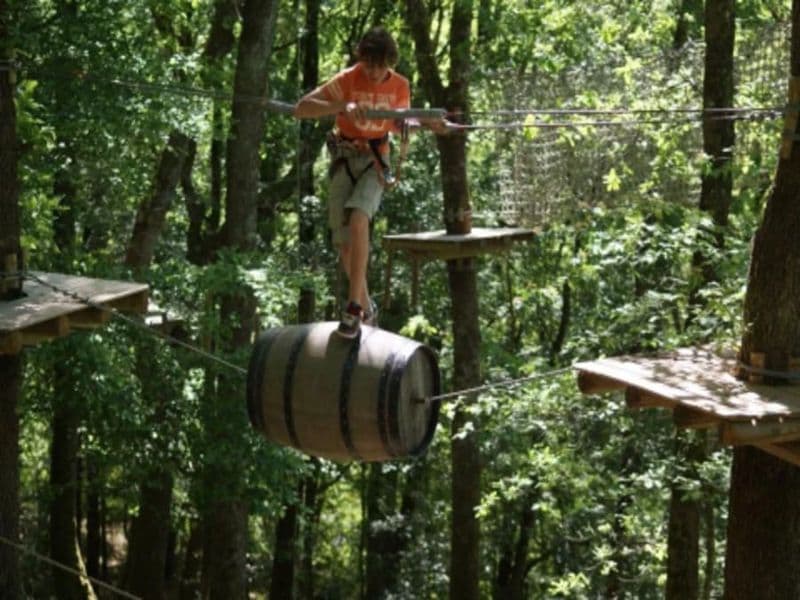 Billet Parc Accrobranche à Pont-du-Casse (47)