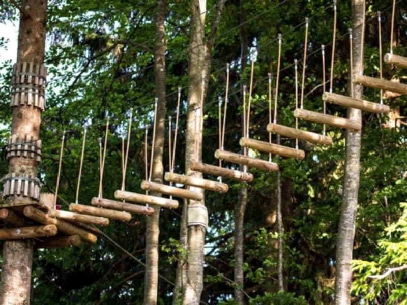 Parcours Accrobranche à Échassières (03)