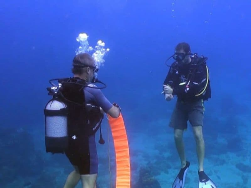 Billet Formation à la plongée sous-marine SSI à Bouillante (971)