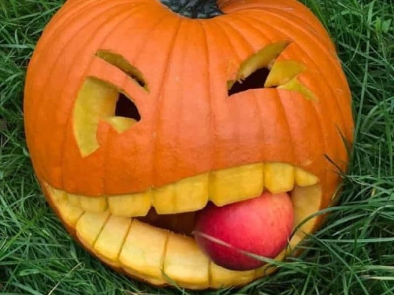 Billet Atelier citrouilles sculptées  à la Cueillette de Servigny (77)