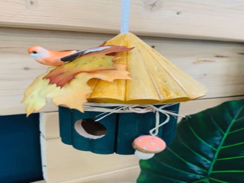 Atelier Enfant Nichoir pour oiseaux chez Truffaut Mauguio