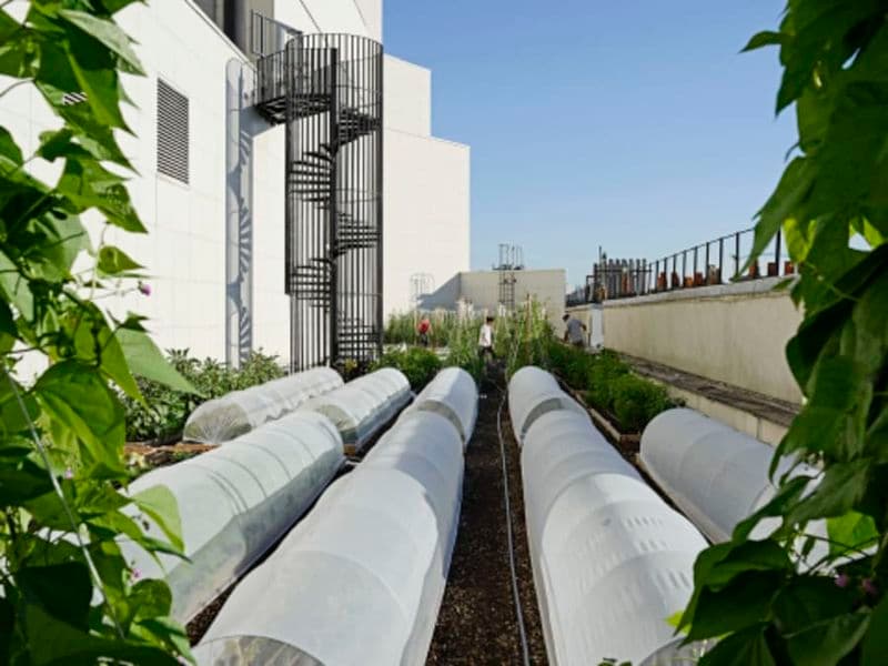 Billet Visite d'une ferme urbaine sur les toits de l'Opéra Bastille