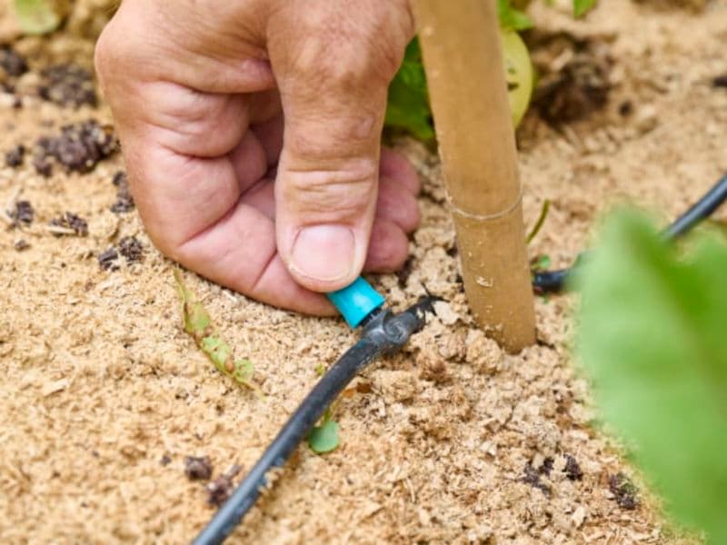 Billet Collecter & économiser l'eau du jardin, Truffaut Mérignac (33)