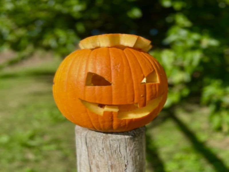 Billet Atelier sculpture de citrouilles à la cueillette de Fraisochamp