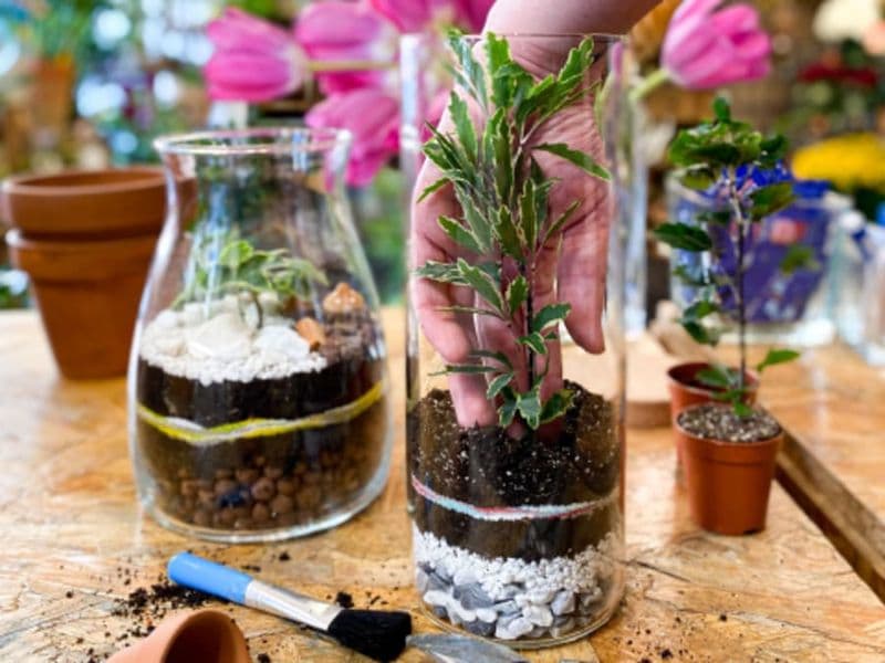 Billet Atelier terrarium à Paris 12ème
