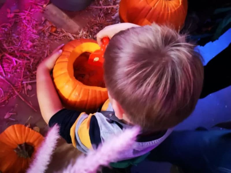 Billet Atelier enfant citrouille Halloween chez Truffaut Herblay (95)