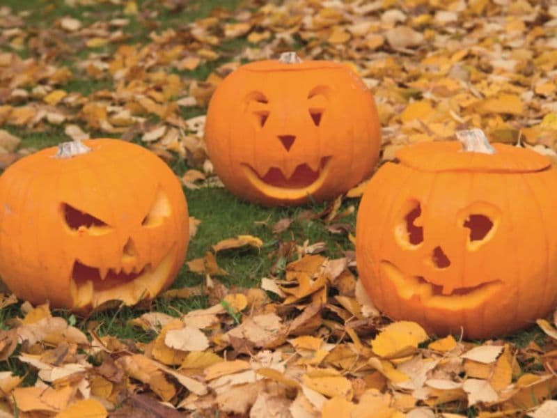 Billet Atelier enfant citrouille Halloween chez Truffaut Bry-sur-Marne