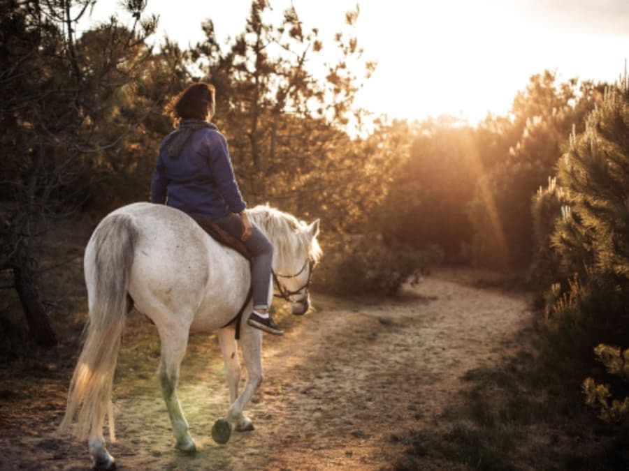 Balade privée à cheval à l'Ile d'Yeu (85)