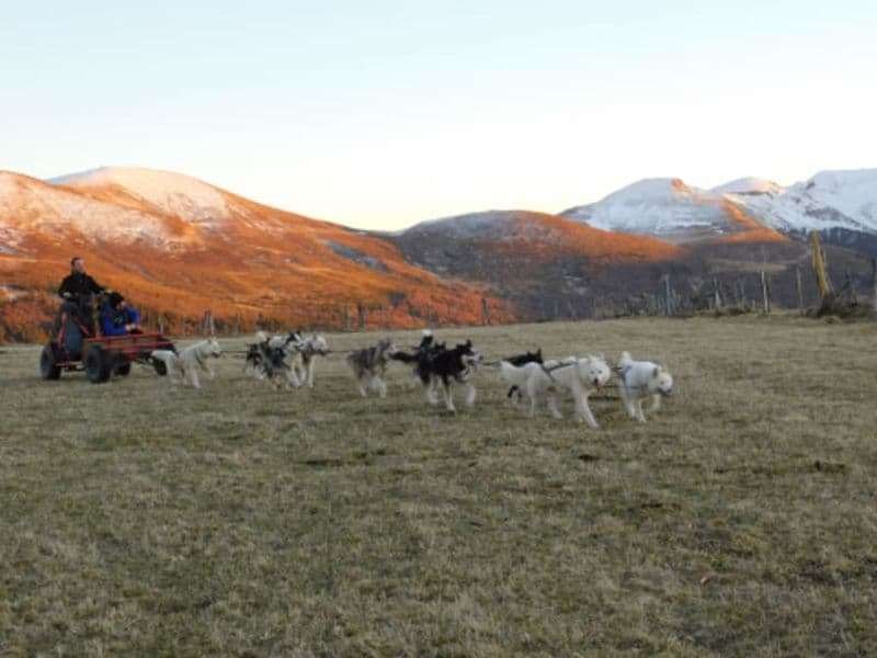 Baptême Kart à chiens près de Sancy (63)