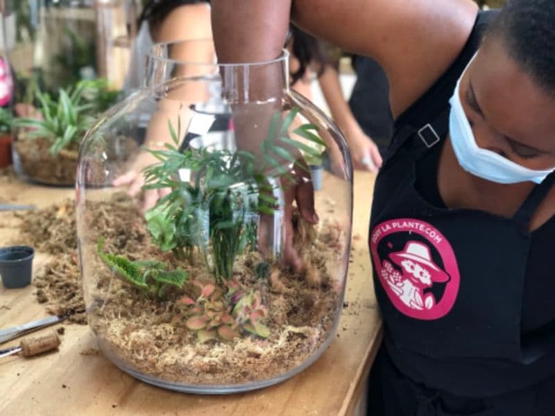 Billet Atelier terrarium à Paris 13ème