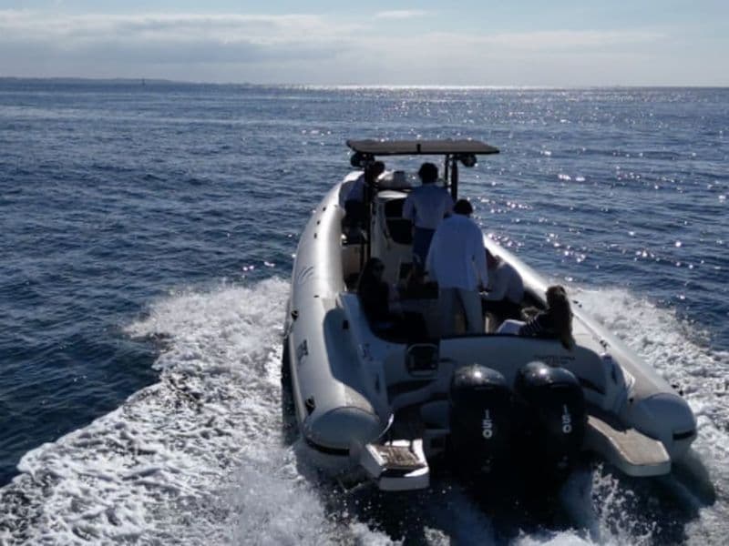 Croisière découverte de Locquirec à Trébeurden (22)