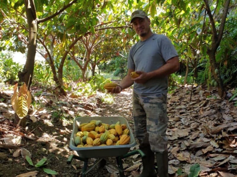 Billet Visite d'une ferme agroécologique nichée à Saint-Philippe (97)